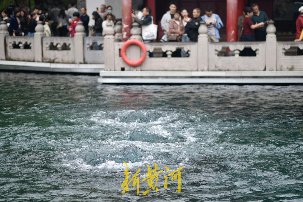 秋雨频顾润泉城 趵突泉水位达29.62米