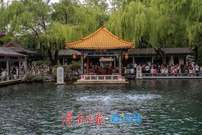 半个月涨了1米，济南趵突泉水位再创新高