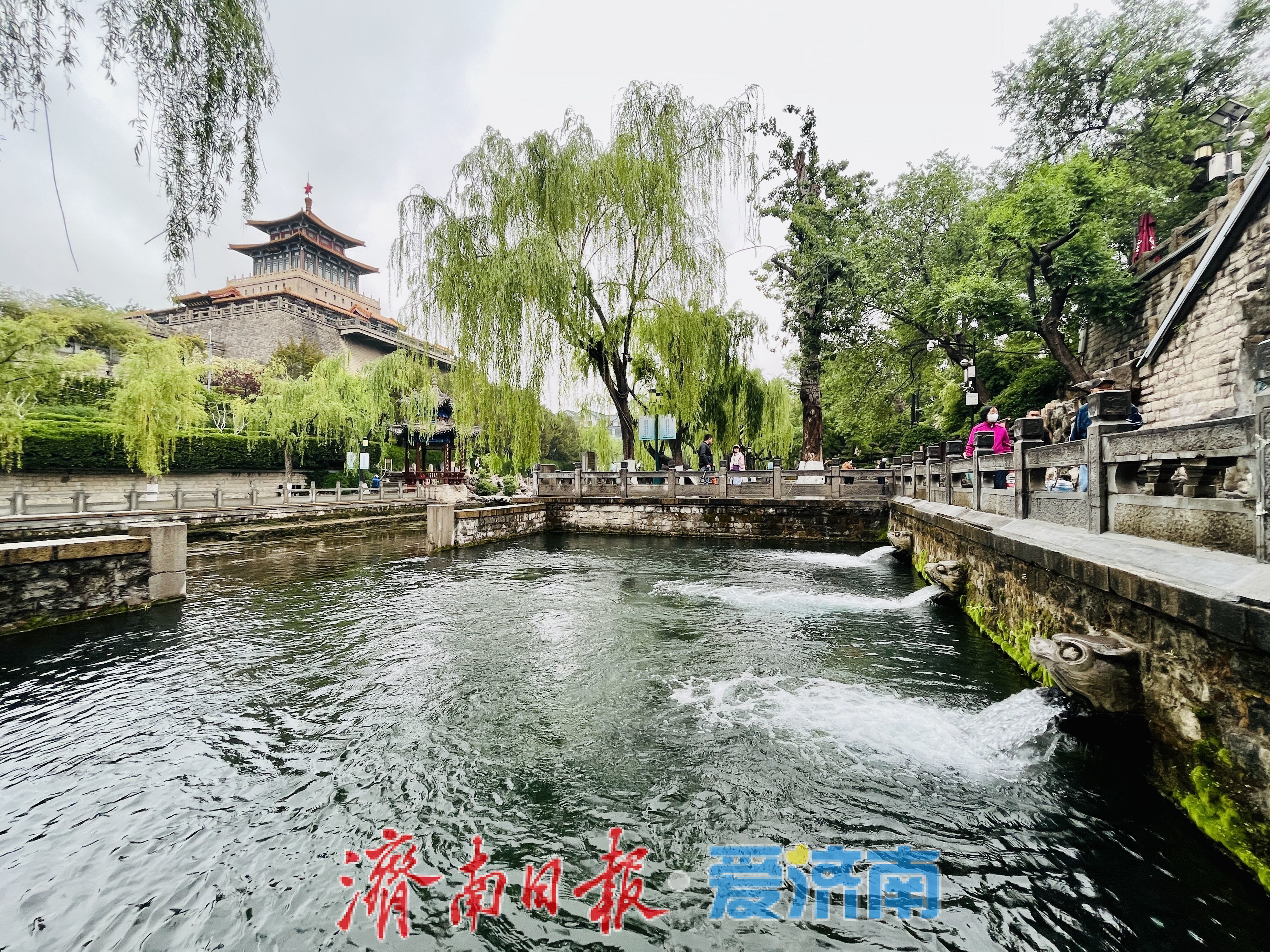 一年四季 泉在济南丨30.84米！黑虎泉水位超2004年纪录改写历史