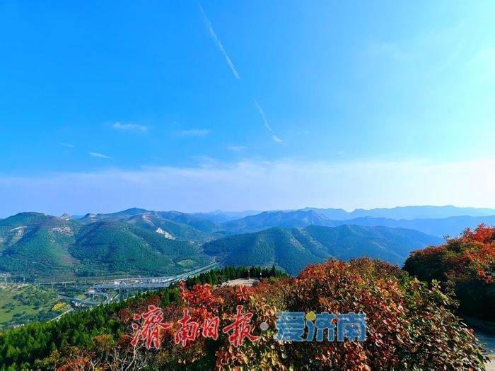 一年四季 泉在济南丨秋日限定！济南蚰蜒山红叶渐染