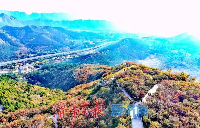 一年四季 泉在济南丨秋日限定！济南蚰蜒山红叶渐染