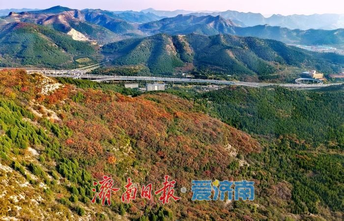 一年四季 泉在济南丨秋日限定!济南蚰蜒山红叶渐染