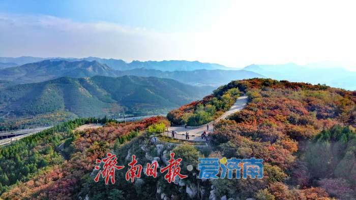 一年四季 泉在济南丨秋日限定！济南蚰蜒山红叶渐染