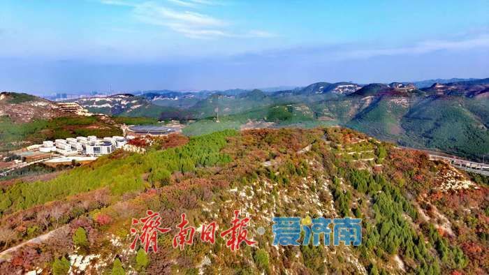 一年四季 泉在济南丨秋日限定！济南蚰蜒山红叶渐染
