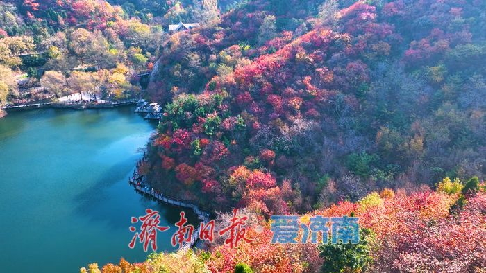 一年四季 泉在济南丨九如山秋日画卷徐徐展开,泉润红枫色彩斑斓