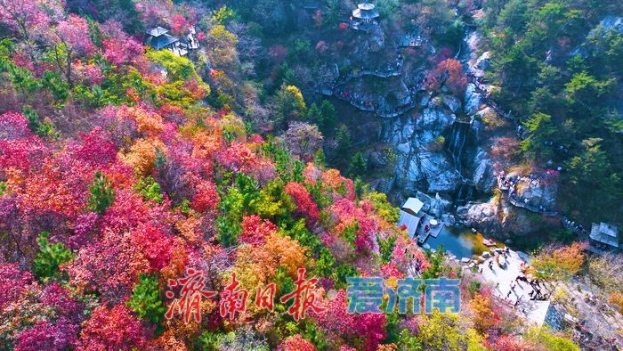 一年四季 泉在济南丨九如山秋日画卷徐徐展开,泉润红枫色彩斑斓