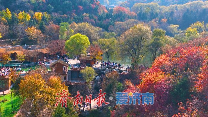一年四季 泉在济南丨九如山秋日画卷徐徐展开，泉润红枫色彩斑斓