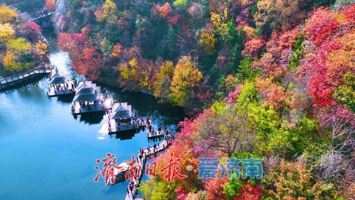 一年四季 泉在济南丨九如山秋日画卷徐徐展开，泉润红枫色彩斑斓