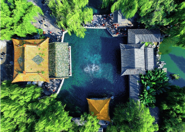 看见济南·温度|此心安处是吾乡,济南的宜居藏在细节里