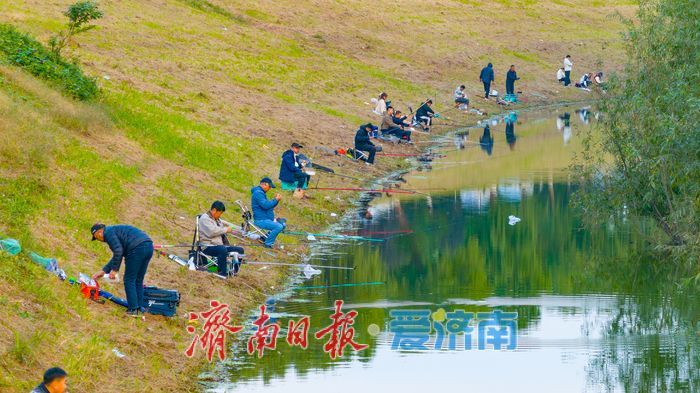 睦里闸迎来“贵客” 上百只白骨顶鸡栖息觅食成生态美景