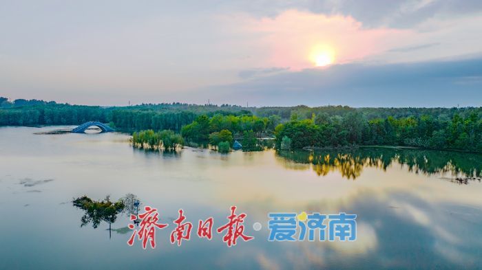 睦里闸迎来“贵客” 上百只白骨顶鸡栖息觅食成生态美景