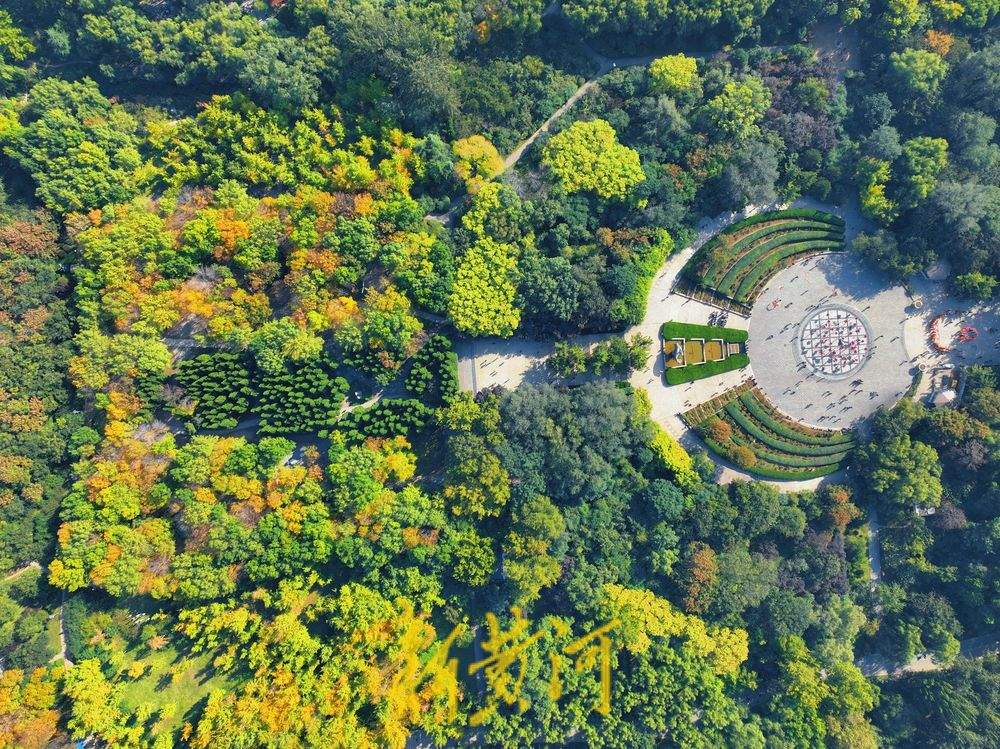 一年四季 泉在济南丨济南森林公园秋色斑斓惹人醉