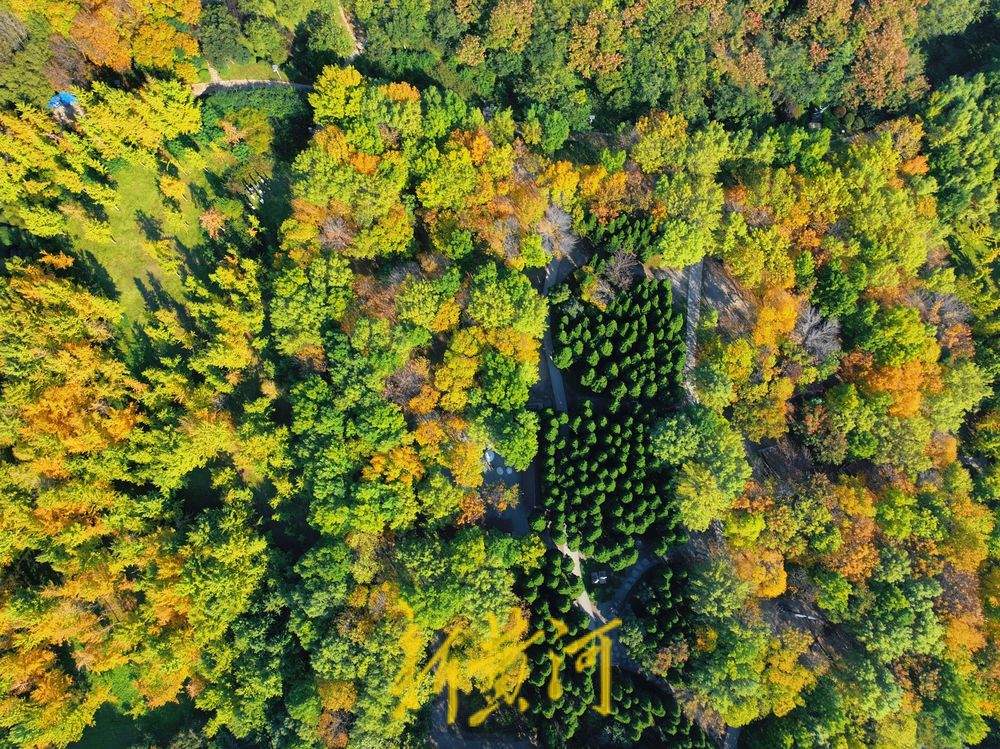 一年四季 泉在济南丨济南森林公园秋色斑斓惹人醉
