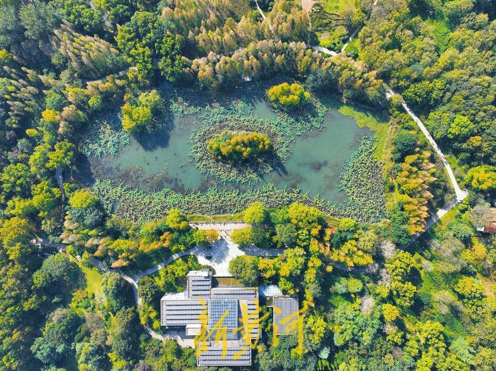 一年四季 泉在济南丨济南森林公园秋色斑斓惹人醉