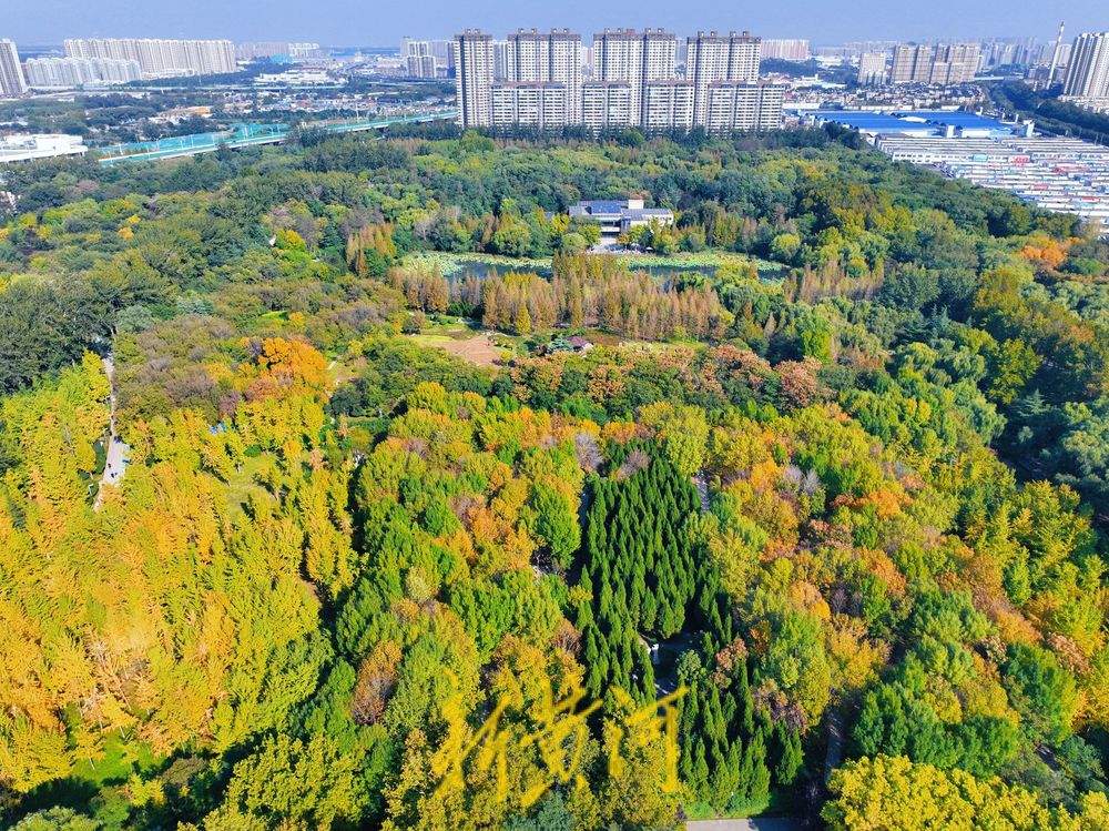 一年四季 泉在济南丨济南森林公园秋色斑斓惹人醉
