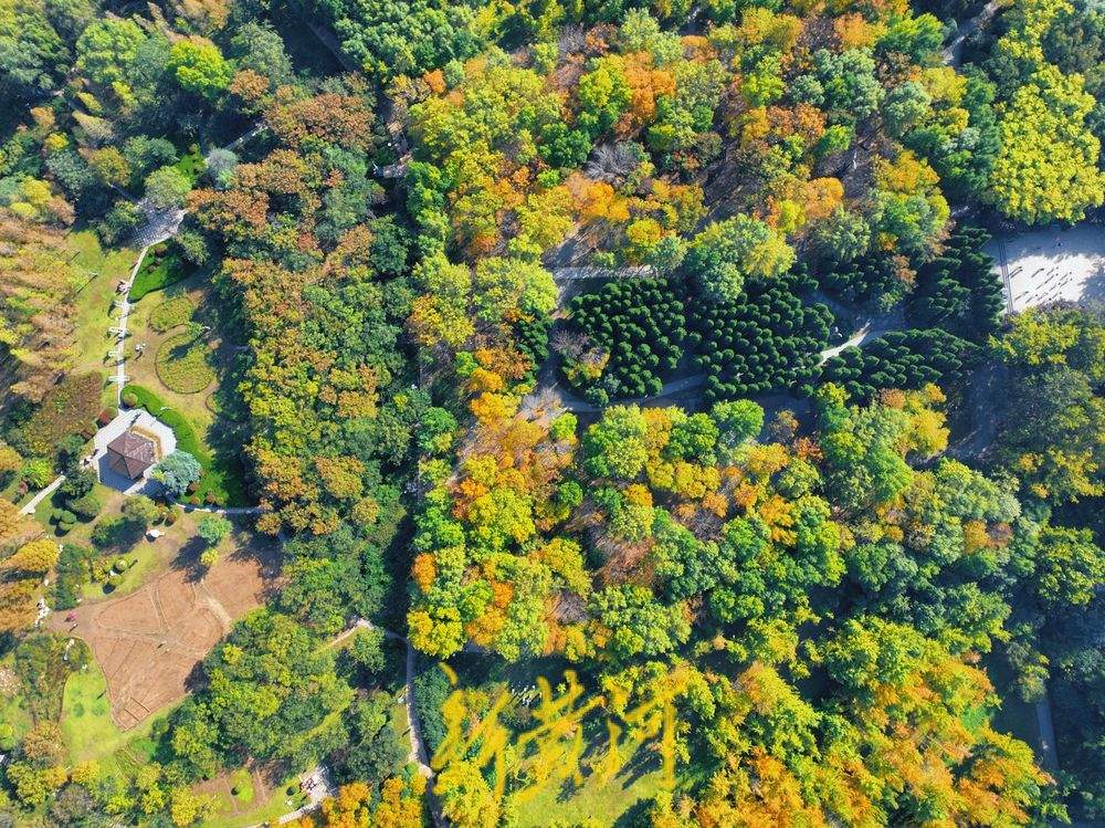 一年四季 泉在济南丨济南森林公园秋色斑斓惹人醉