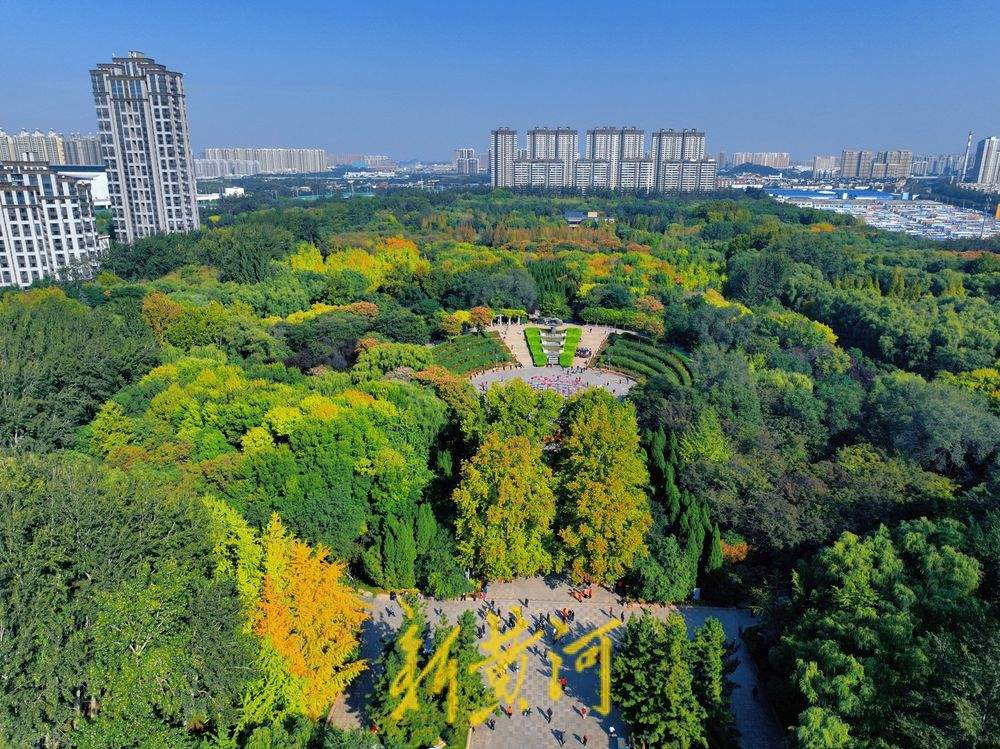 一年四季 泉在济南丨济南森林公园秋色斑斓惹人醉