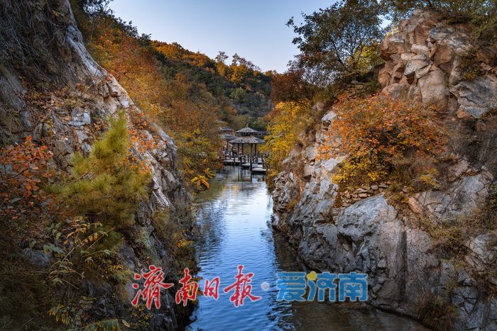 济南九如山:秋日斑斓如诗画,手工体验让秋天 “触手可得”