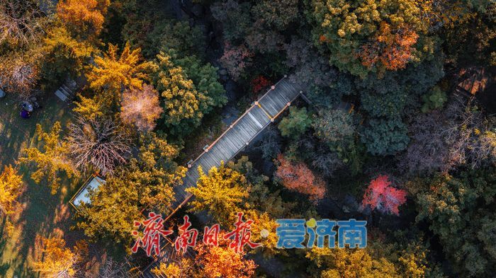 济南九如山:秋日斑斓如诗画,手工体验让秋天 “触手可得”