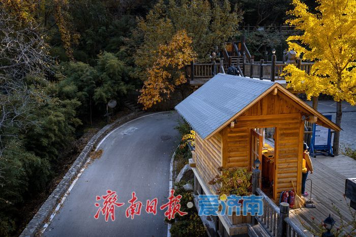 济南九如山:秋日斑斓如诗画,手工体验让秋天 “触手可得”