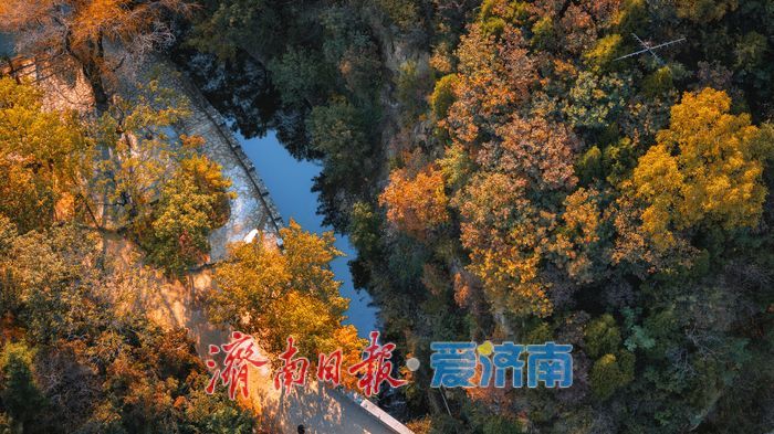 济南九如山:秋日斑斓如诗画,手工体验让秋天 “触手可得”