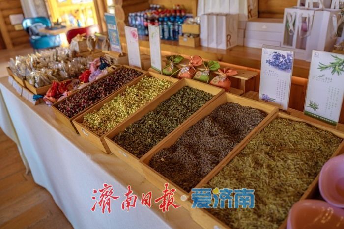 济南九如山:秋日斑斓如诗画,手工体验让秋天 “触手可得”