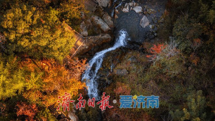 济南九如山:秋日斑斓如诗画,手工体验让秋天 “触手可得”