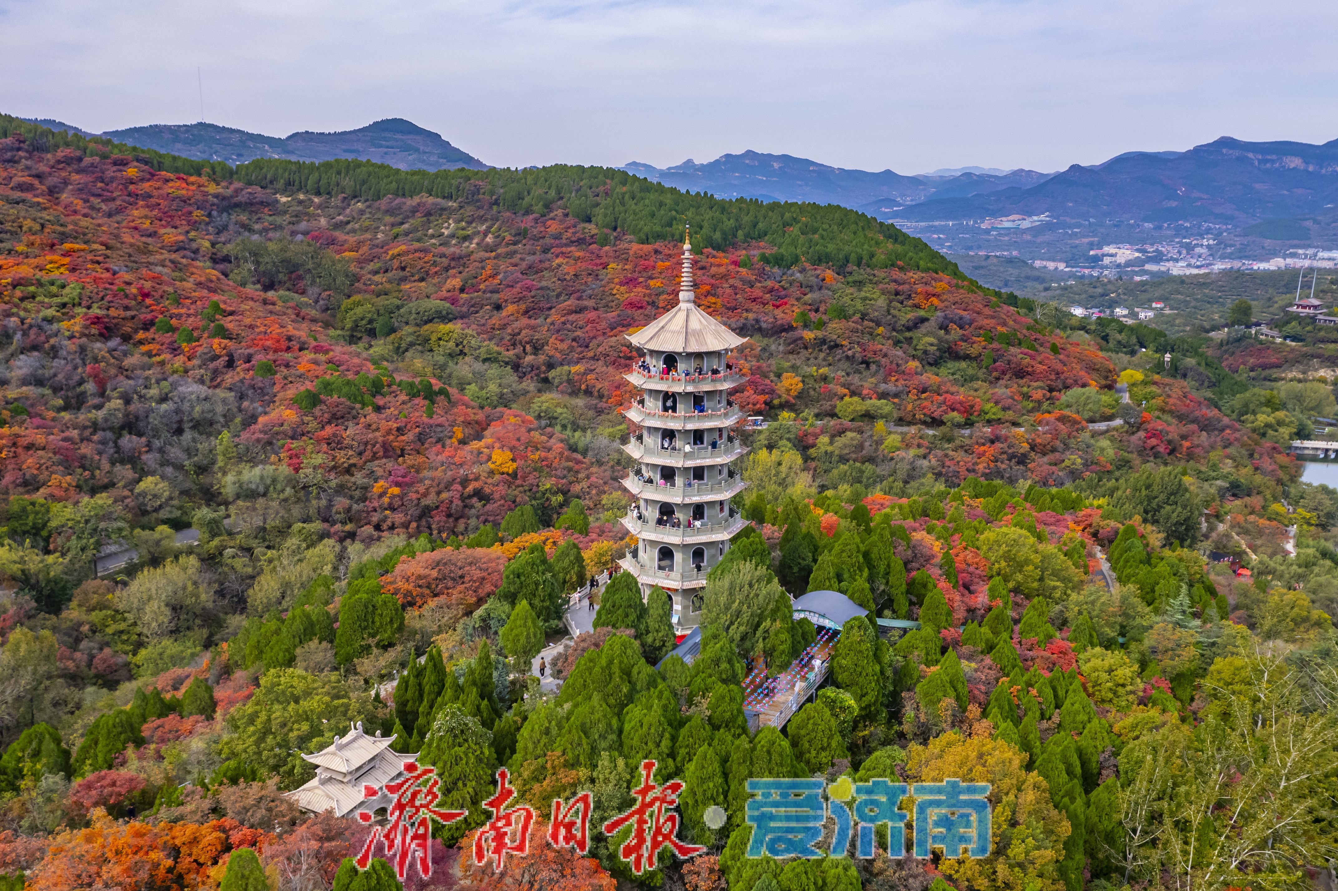 万山红遍,层林尽染!济南红叶谷进入最佳观赏期