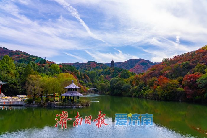 万山红遍,层林尽染!济南红叶谷进入最佳观赏期