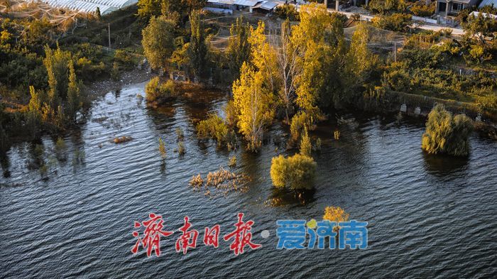 济南锦绣川水库：秋染山水间，生态画卷韵悠然