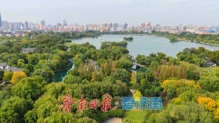 一年四季 泉在济南｜泉城秋韵浓，大明湖变身秋日“调色盘”