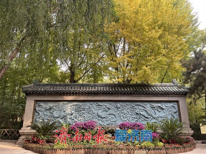 一年四季 泉在济南丨满屏五彩斑斓!五龙潭秋日打翻色盘