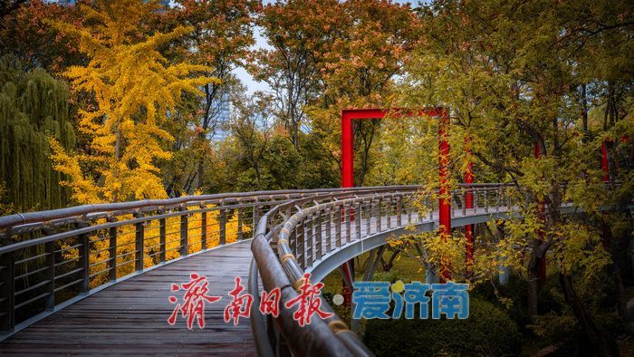 一年四季 泉在济南丨济南泉城公园：秋日胜景如画，市民尽享自然之美