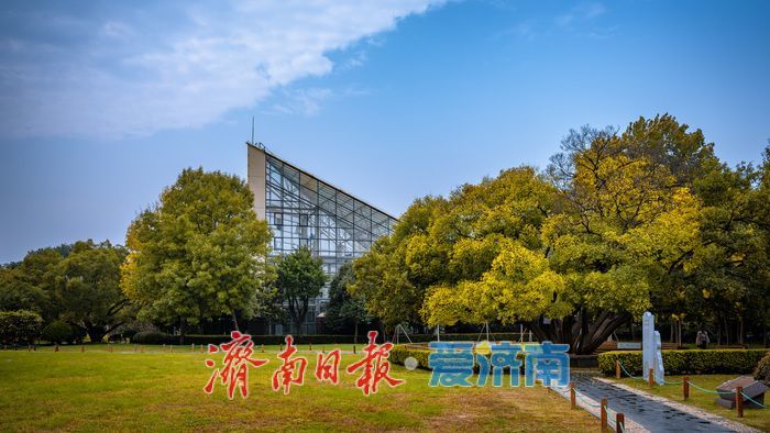 一年四季 泉在济南丨济南泉城公园：秋日胜景如画，市民尽享自然之美