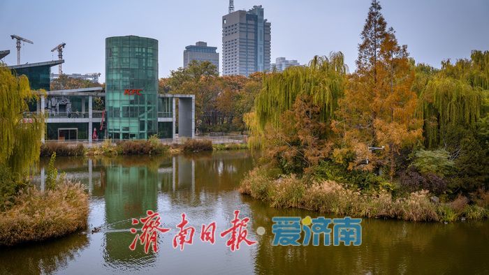 一年四季 泉在济南丨济南泉城公园：秋日胜景如画，市民尽享自然之美