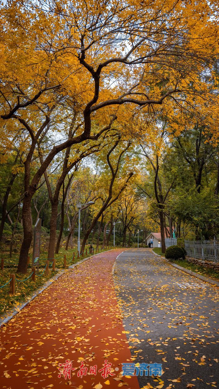 一年四季 泉在济南丨济南泉城公园：秋日胜景如画，市民尽享自然之美
