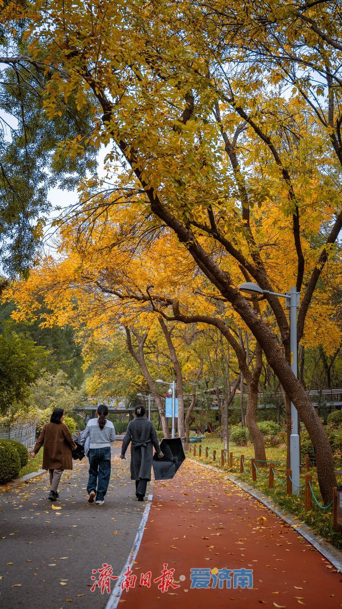 一年四季 泉在济南丨济南泉城公园：秋日胜景如画，市民尽享自然之美