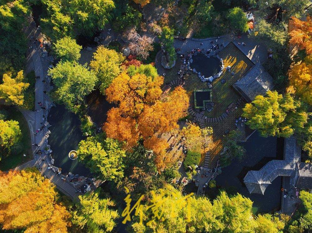 五彩斑斓，五龙潭呈现最美晚秋景色