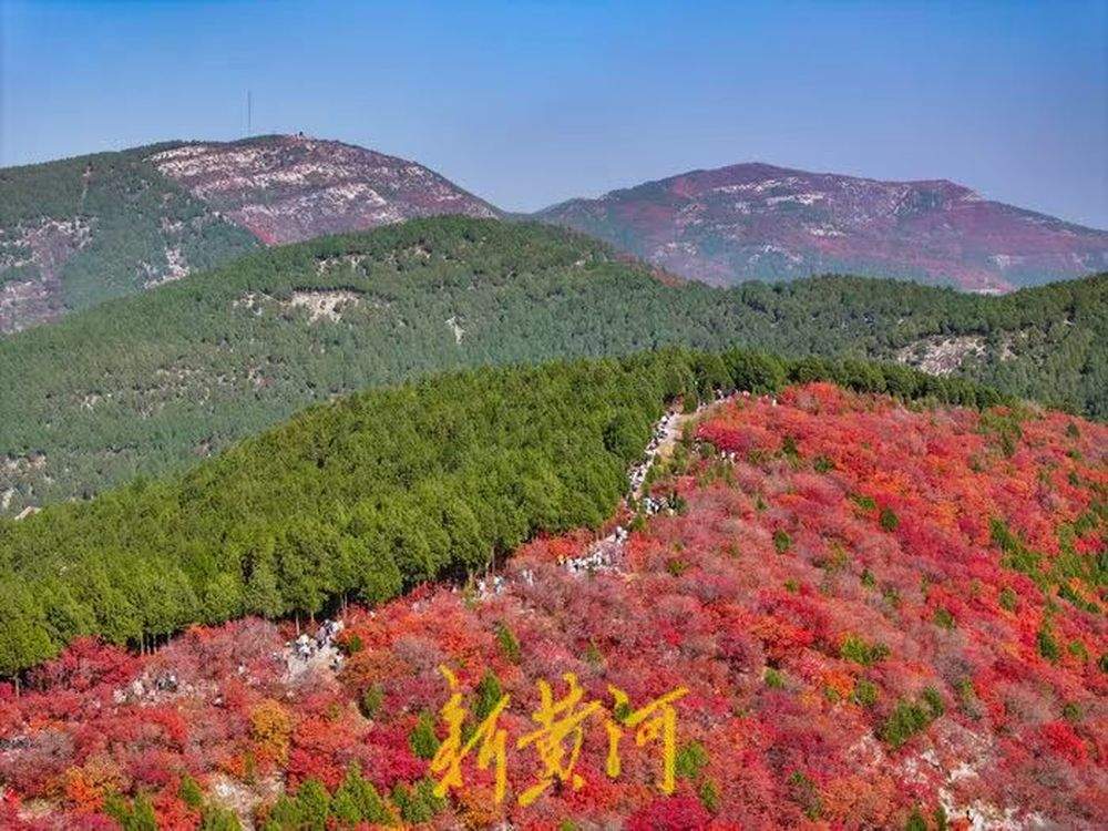 半山苍翠半山红!济南“鸳鸯火锅”惊艳上线