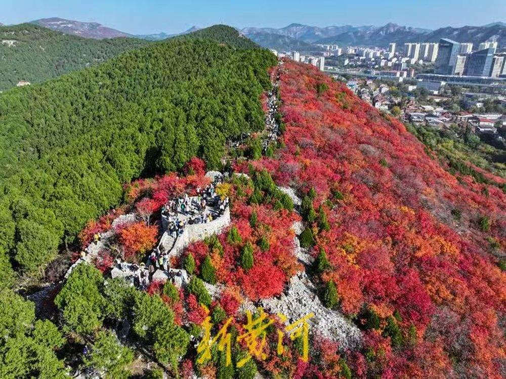 半山苍翠半山红!济南“鸳鸯火锅”惊艳上线