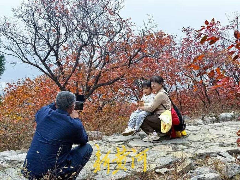 半山苍翠半山红!济南“鸳鸯火锅”惊艳上线