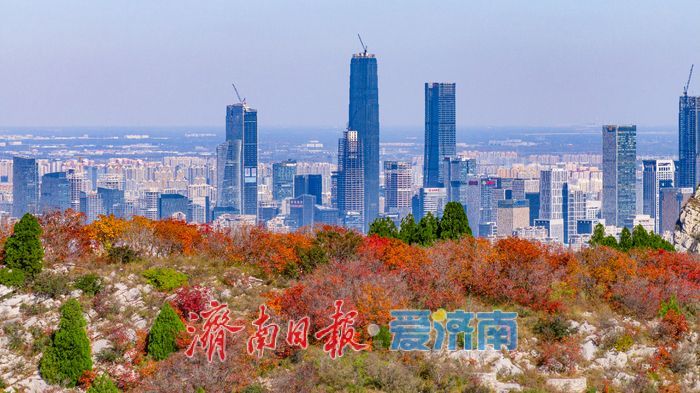 一年四季 泉在济南｜秋色染红蚰蜒山，济南市民争赴“红叶之约”