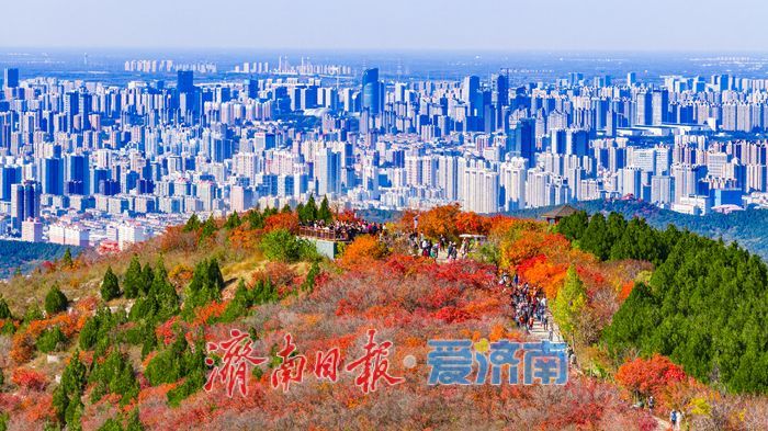 一年四季 泉在济南｜秋色染红蚰蜒山，济南市民争赴“红叶之约”