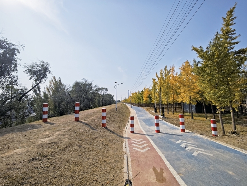 千亩银杏林附近停车成难题 回应：系因养护银杏林暂关，会尽快开放