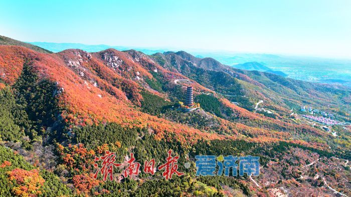 层林尽染换“彩妆”！大舟山打翻秋日“调色盘”