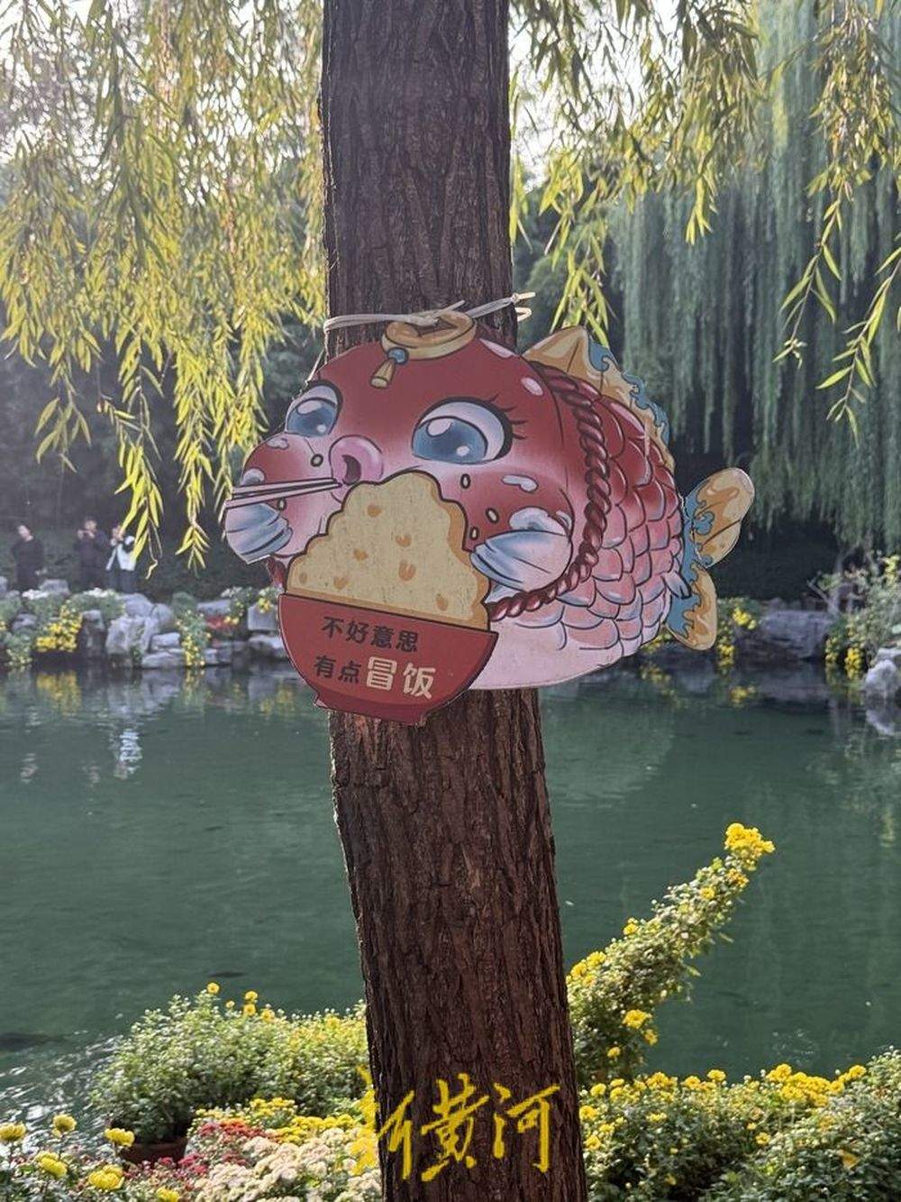 趵突泉“猪鲤”超重，景区工作人员友情提示“再喂就嘎了”