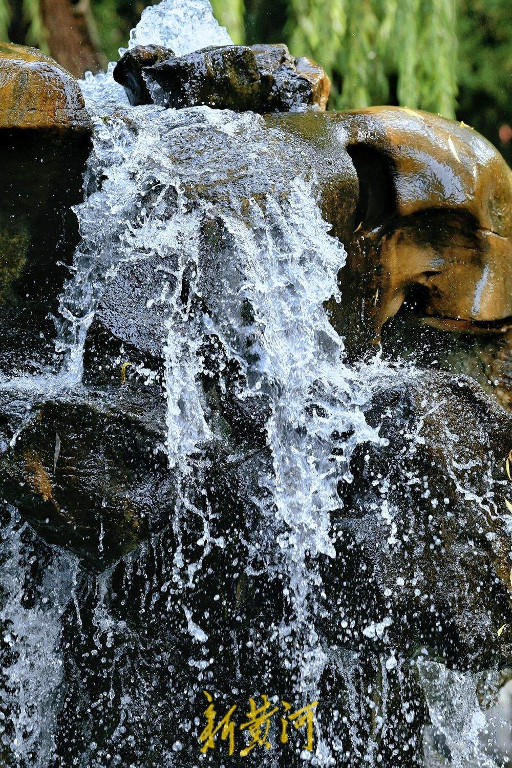 秋冬之交，泉水欢腾，泉城晚秋迷人眼