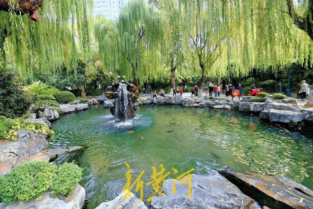 秋冬之交，泉水欢腾，泉城晚秋迷人眼