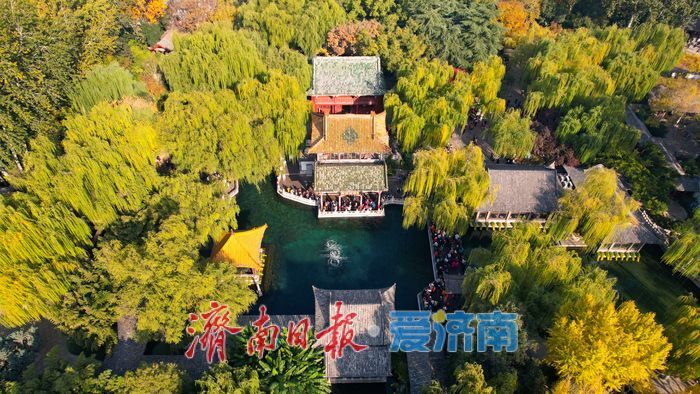 趵突泉秋景如画 泉涌叶舞醉游人