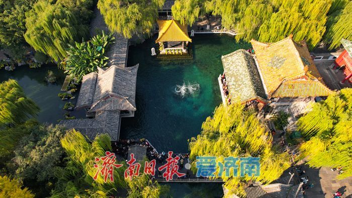 趵突泉秋景如画 泉涌叶舞醉游人